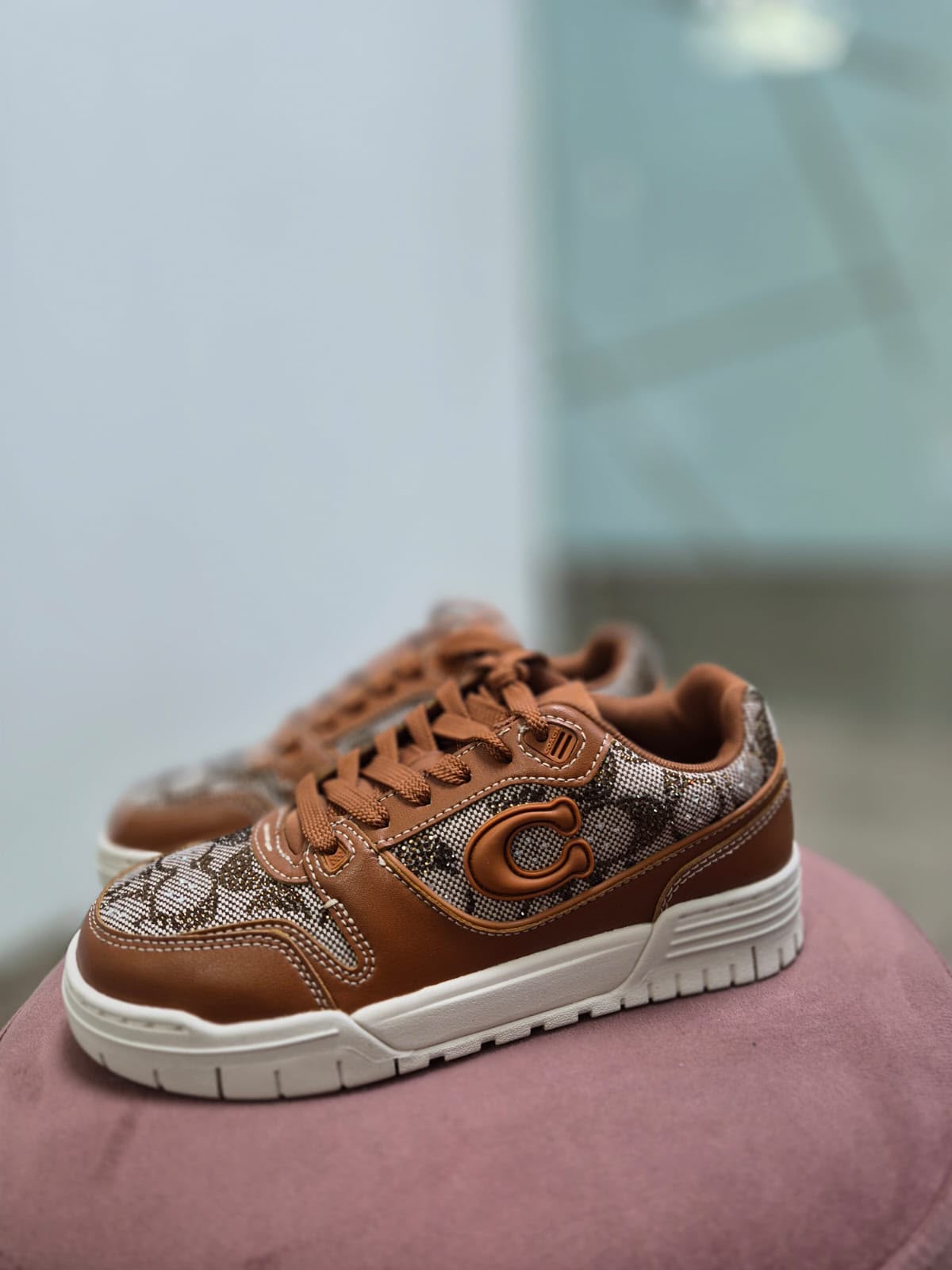 Zapatilla Coach brillos